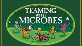 ‘Teaming With Microbes’ podcast: Is too much rain bad for your garden?