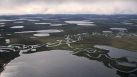 Biden administration moves to add protections against drilling in Alaska petroleum reserve