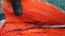 Studies show there are likely more ‘sushi worms’ in Alaska salmon and other fish than there used to be