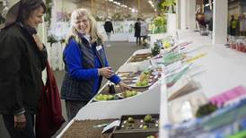 Tiny, mighty, sometimes ugly: An ode to some of the Alaska State Fair’s overlooked crops