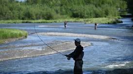 Ship Creek will be closed to sportfishing Saturday through mid-July to protect king salmon